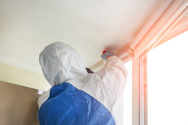 Best Environmental Consulting for Mold Prevention  in Goodview, MN